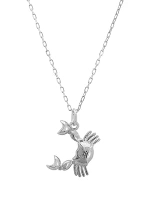 Cancer Crab Zodiac Star Sign Necklace in Sterling Silver