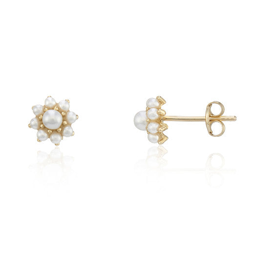 9ct Yellow Gold Pearl Cluster Stud Earrings